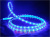 картинка Светодиодная лента LED 5050 синяя от интернет магазина Radiovip