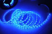 картинка Светодиодная лента LED 5050 синяя от интернет магазина Radiovip