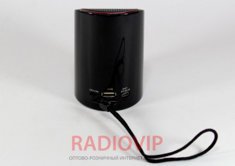картинка Портативная MP3 Колонка SPS WS 133 от интернет магазина Radiovip