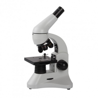 Анатомия микроскопа: введение